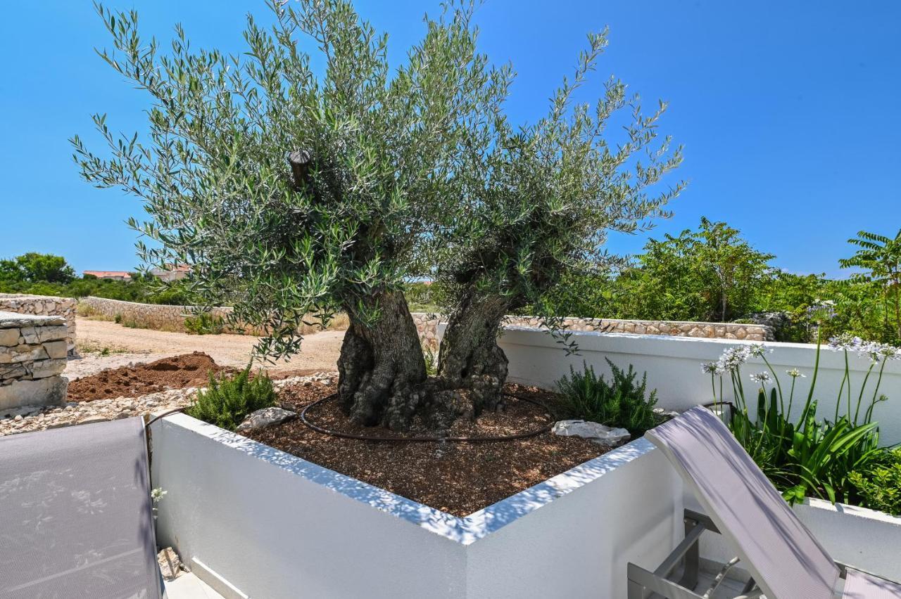 Villa Cala, Hotel Rooms&Apartments Novalja Εξωτερικό φωτογραφία